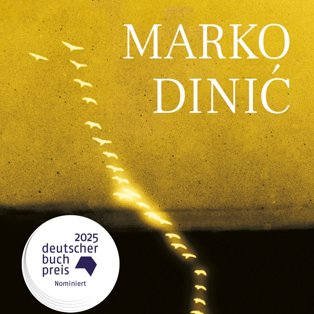 Buchcover: Marko Dinić, Buch der Gesichter